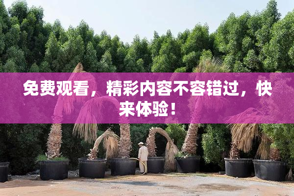 免费观看，精彩内容不容错过，快来体验！