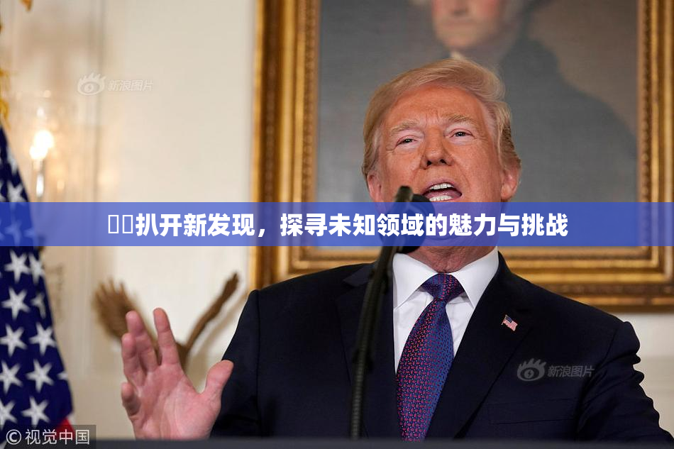 妺妺扒开新发现，探寻未知领域的魅力与挑战