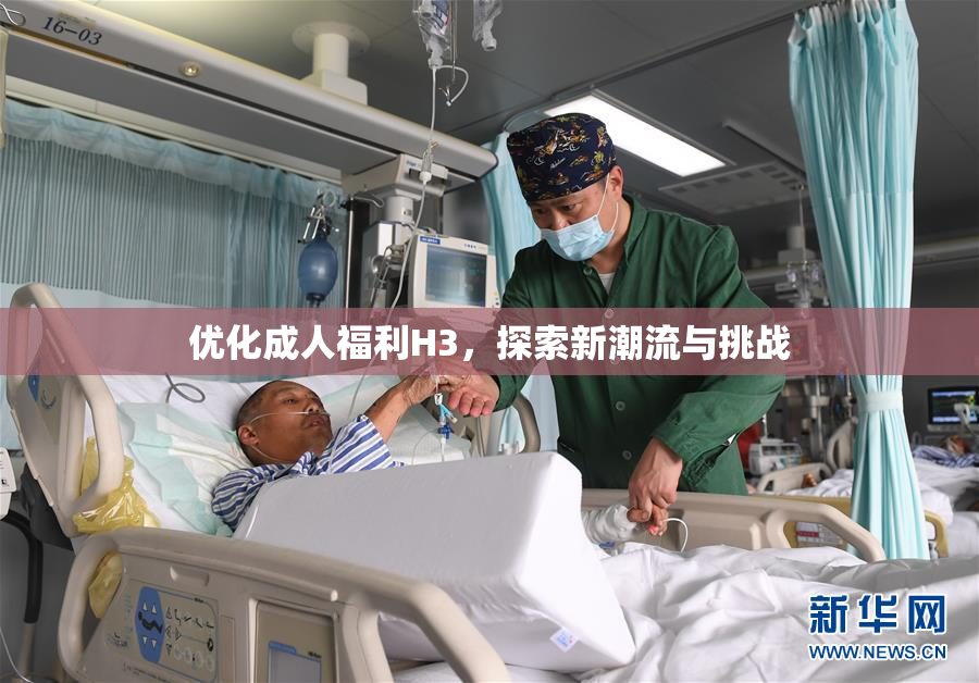 优化成人福利H3，探索新潮流与挑战