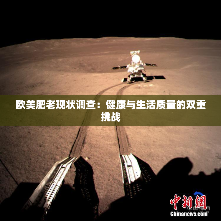 欧美肥老现状调查：健康与生活质量的双重挑战