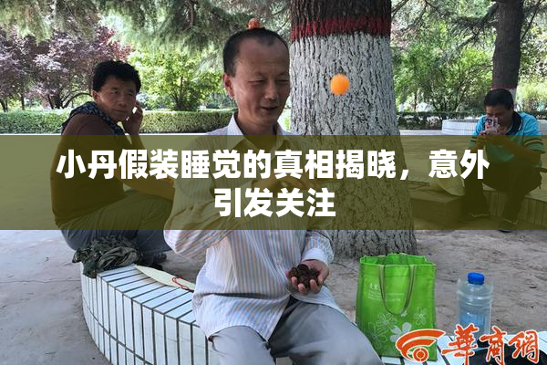 小丹假装睡觉的真相揭晓，意外引发关注