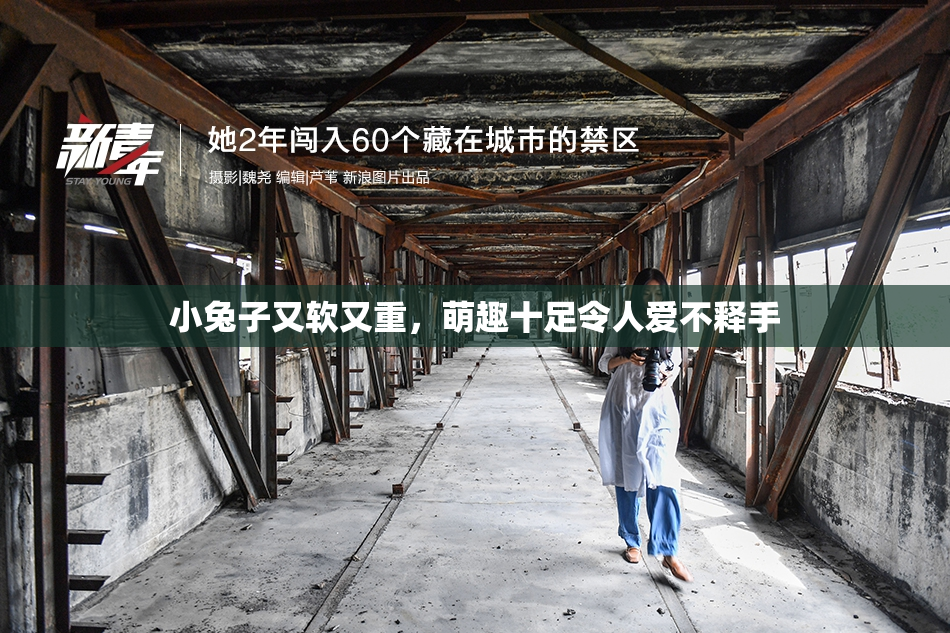 小兔子又软又重，萌趣十足令人爱不释手
