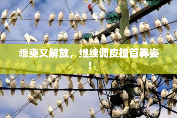乖爽又解放，继续调皮搔首弄姿！