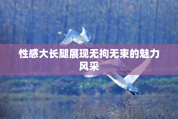 性感大长腿展现无拘无束的魅力风采