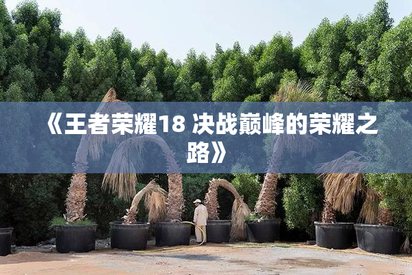 《王者荣耀18 决战巅峰的荣耀之路》