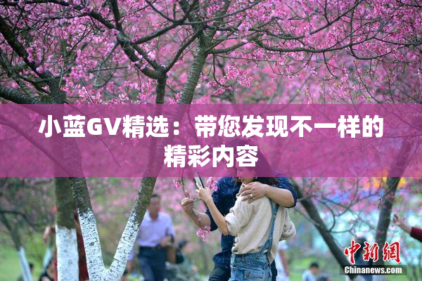 小蓝GV精选：带您发现不一样的精彩内容