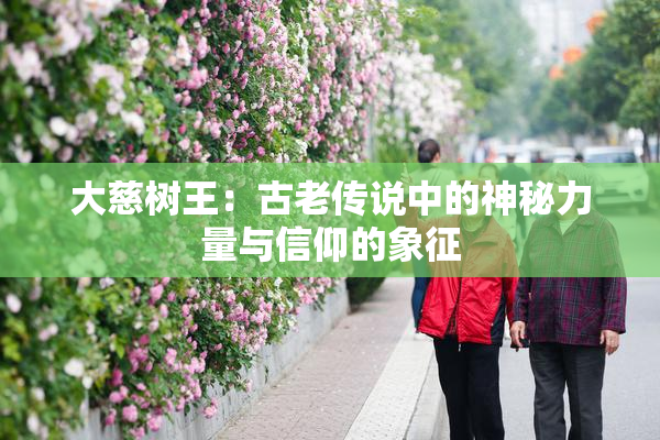 大慈树王：古老传说中的神秘力量与信仰的象征
