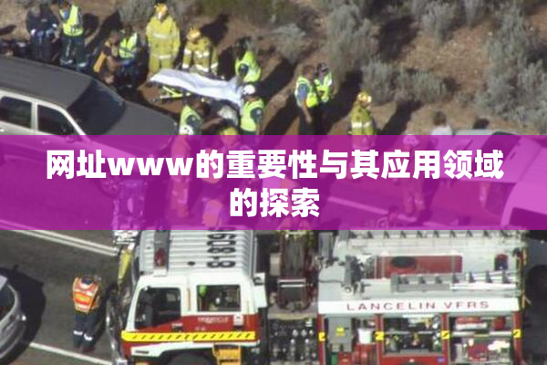 网址www的重要性与其应用领域的探索