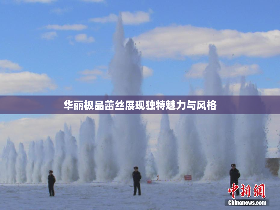 华丽极品蕾丝展现独特魅力与风格