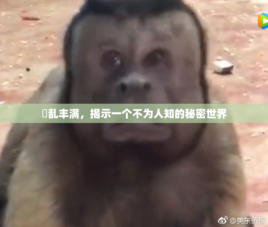 婬乱丰满，揭示一个不为人知的秘密世界