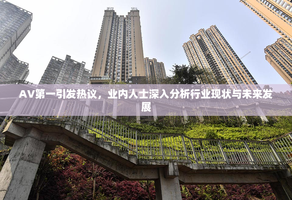 AV第一引发热议，业内人士深入分析行业现状与未来发展