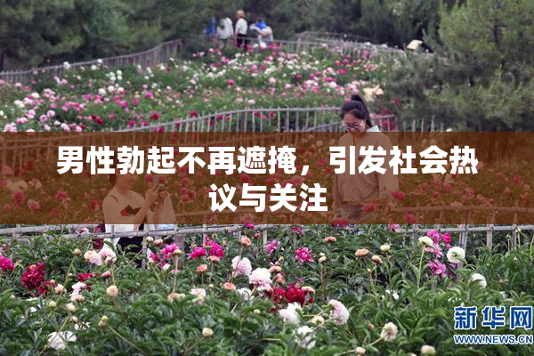 男性勃起不再遮掩，引发社会热议与关注
