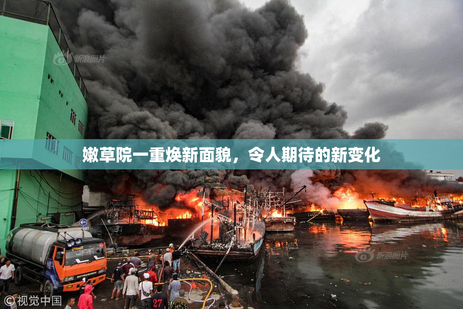 嫩草院一重焕新面貌，令人期待的新变化