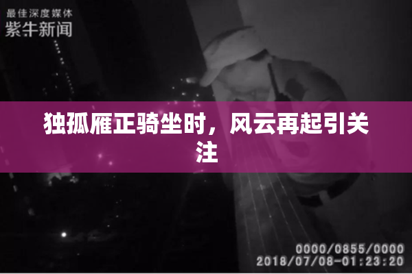 独孤雁正骑坐时，风云再起引关注