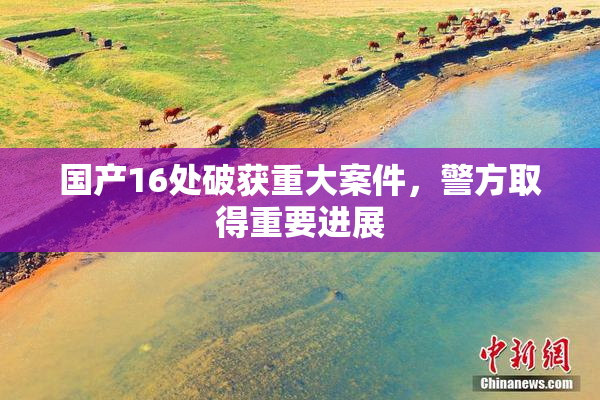国产16处破获重大案件，警方取得重要进展