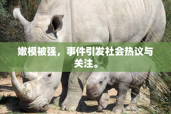 嫩模被强，事件引发社会热议与关注。