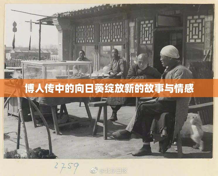 博人传中的向日葵绽放新的故事与情感