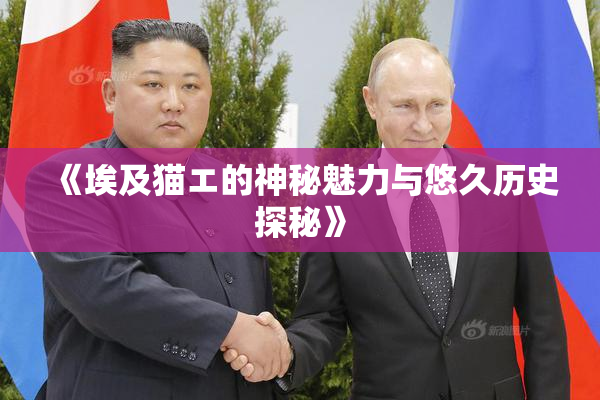 《埃及猫エ的神秘魅力与悠久历史探秘》