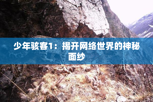 少年骇客1：揭开网络世界的神秘面纱