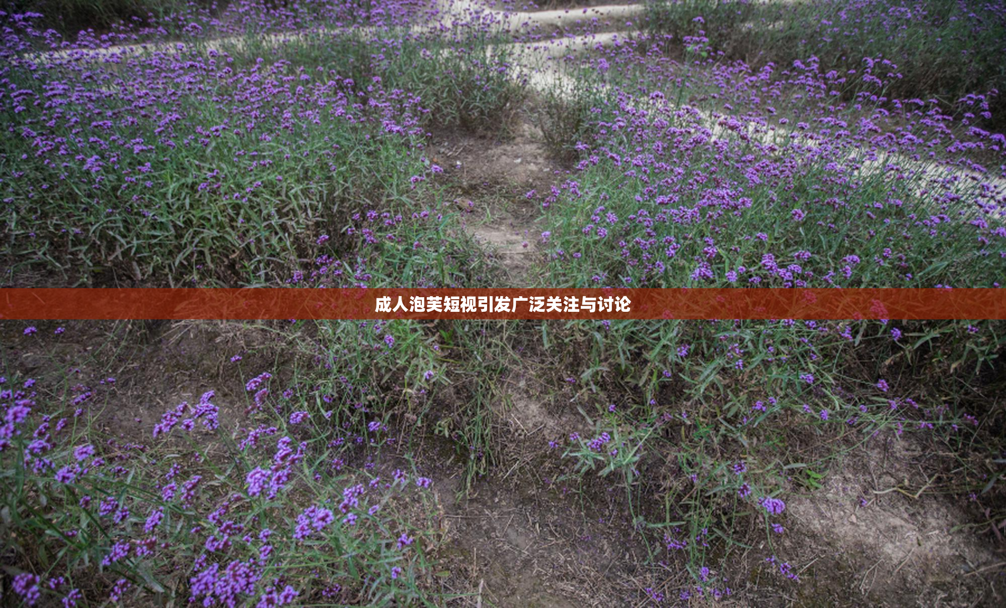 成人泡芙短视引发广泛关注与讨论