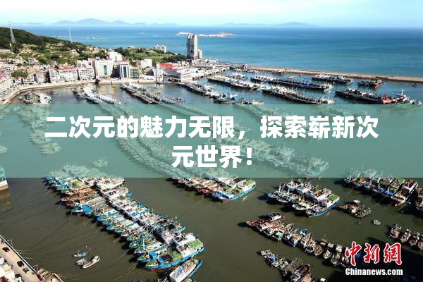 二次元的魅力无限，探索崭新次元世界！