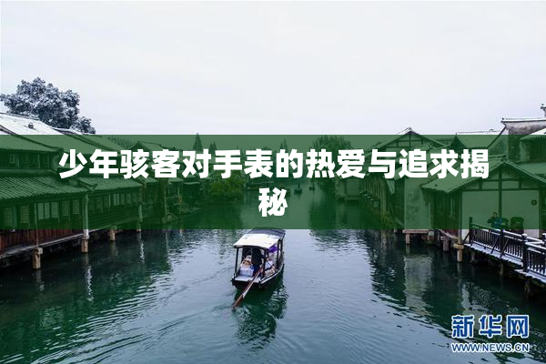 少年骇客对手表的热爱与追求揭秘