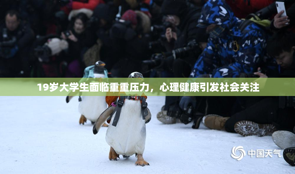 19岁大学生面临重重压力，心理健康引发社会关注
