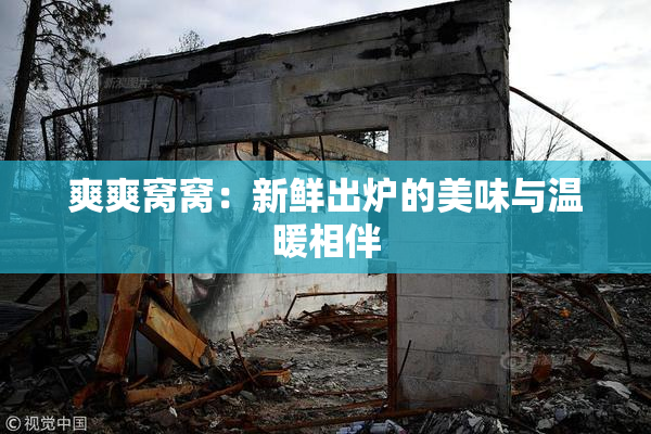 爽爽窝窝：新鲜出炉的美味与温暖相伴