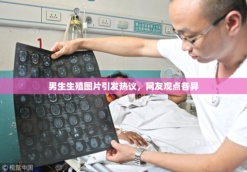男生生殖图片引发热议，网友观点各异