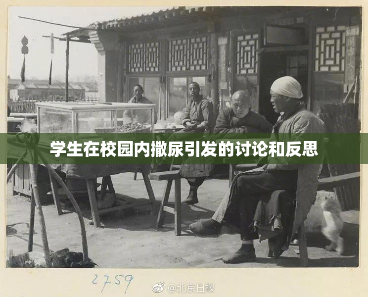学生在校园内撒尿引发的讨论和反思