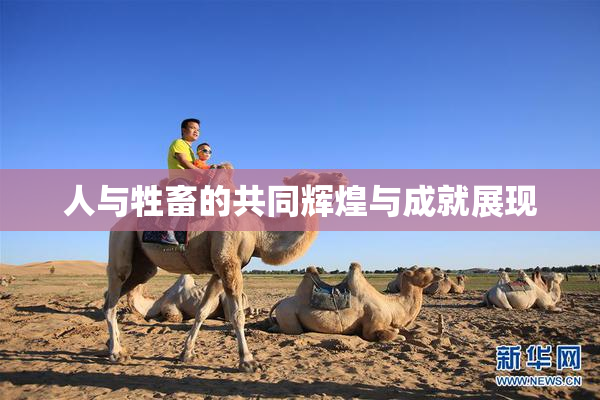 人与牲畜的共同辉煌与成就展现