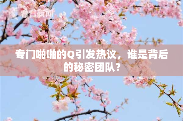 专门啪啪的Q引发热议，谁是背后的秘密团队？
