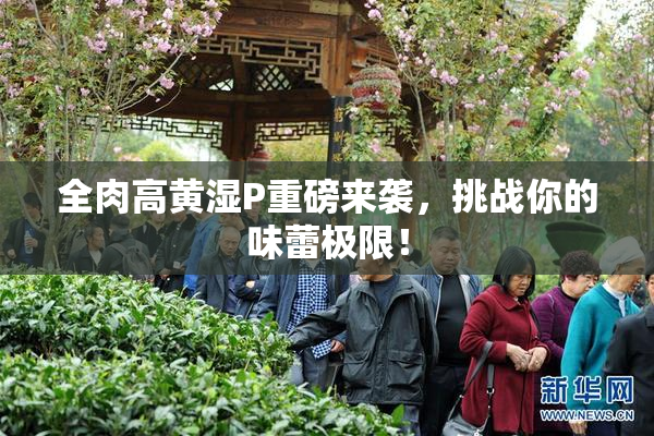 全肉高黄湿P重磅来袭，挑战你的味蕾极限！