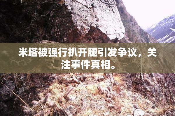 米塔被强行扒开腿引发争议，关注事件真相。