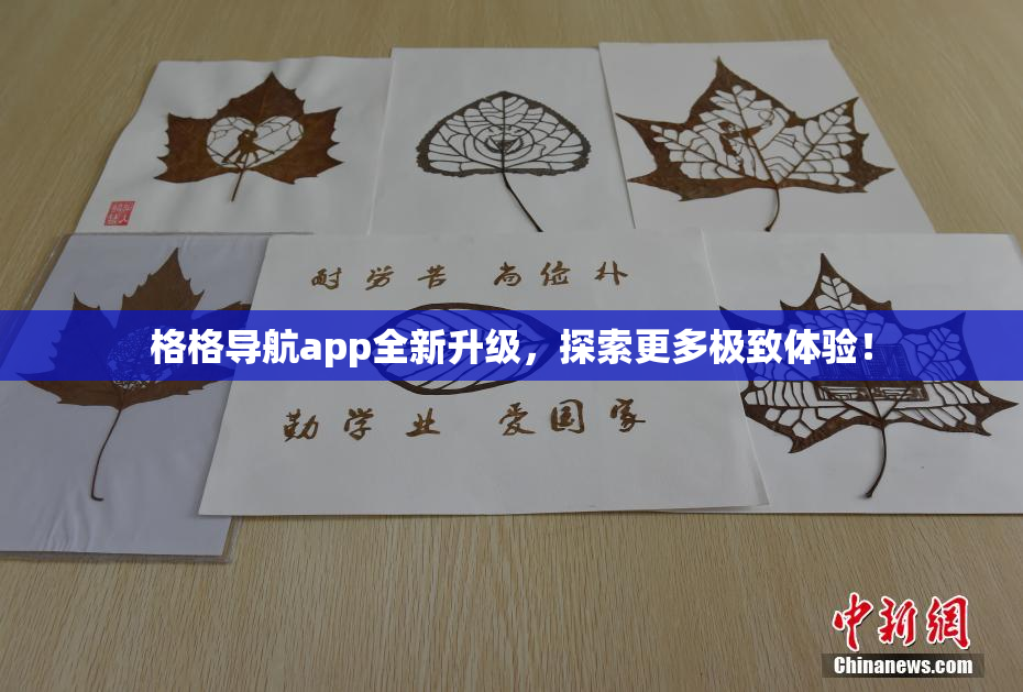 格格导航app全新升级，探索更多极致体验！