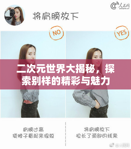 二次元世界大揭秘，探索别样的精彩与魅力