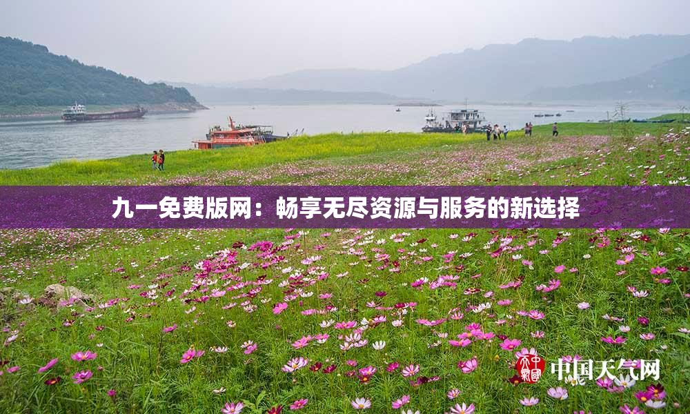 九一免费版网：畅享无尽资源与服务的新选择