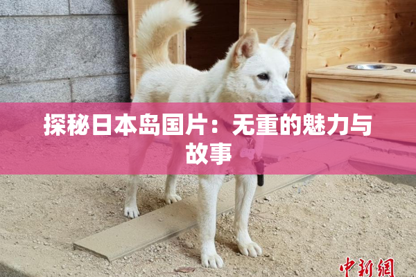 探秘日本岛国片：无重的魅力与故事