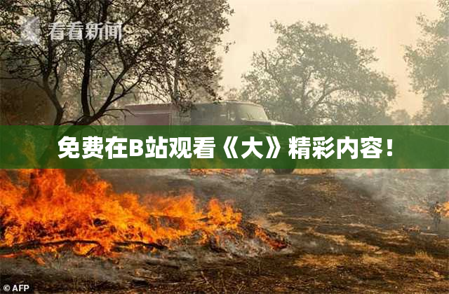 免费在B站观看《大》精彩内容！