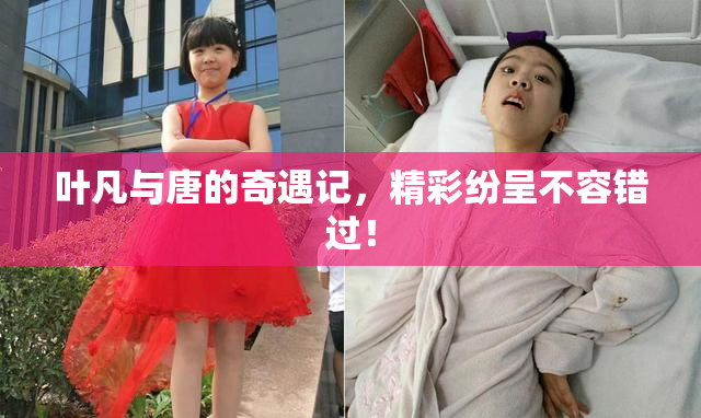 叶凡与唐的奇遇记，精彩纷呈不容错过！
