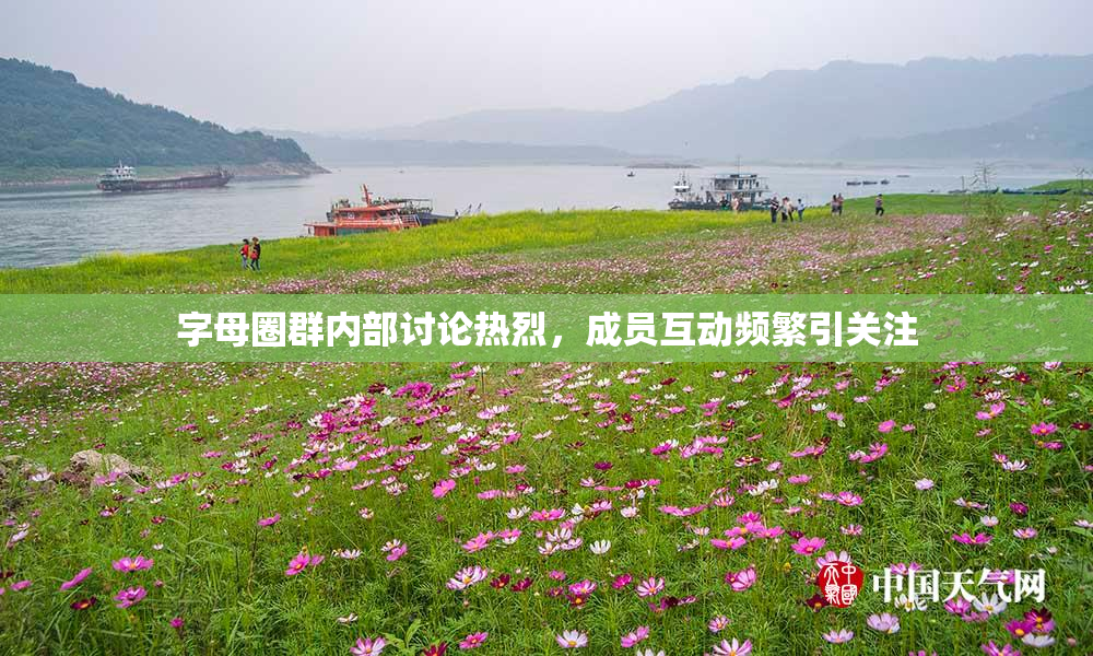 字母圈群内部讨论热烈，成员互动频繁引关注