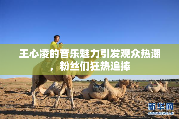 王心凌的音乐魅力引发观众热潮，粉丝们狂热追捧