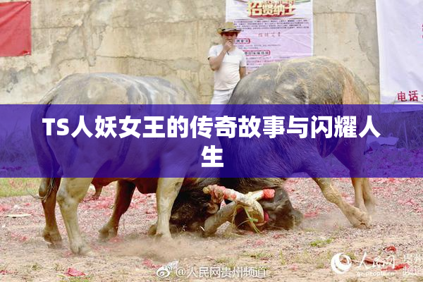 TS人妖女王的传奇故事与闪耀人生