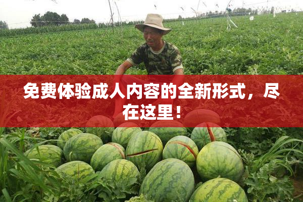 免费体验成人内容的全新形式，尽在这里！
