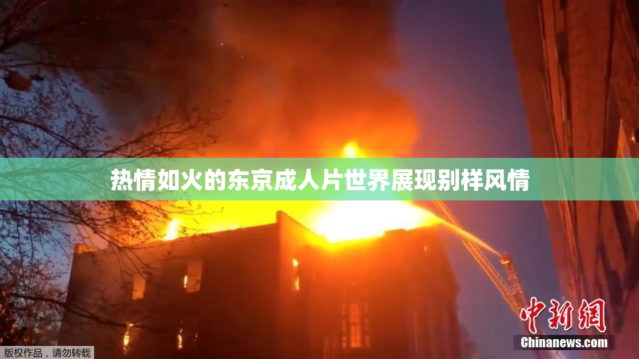 热情如火的东京成人片世界展现别样风情