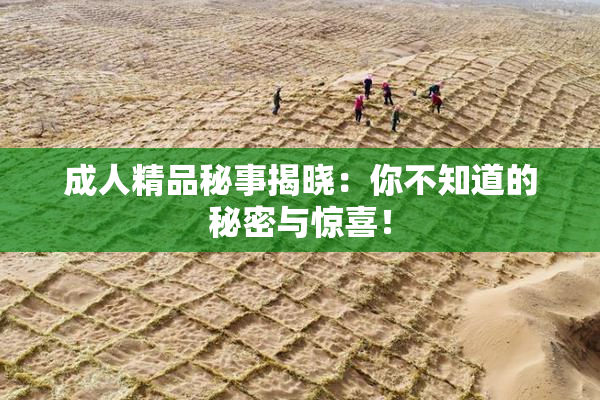 成人精品秘事揭晓：你不知道的秘密与惊喜！