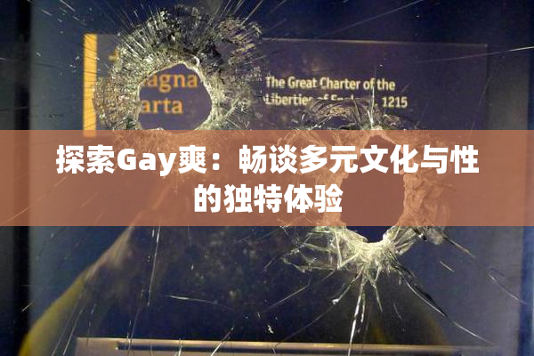 探索Gay爽：畅谈多元文化与性的独特体验