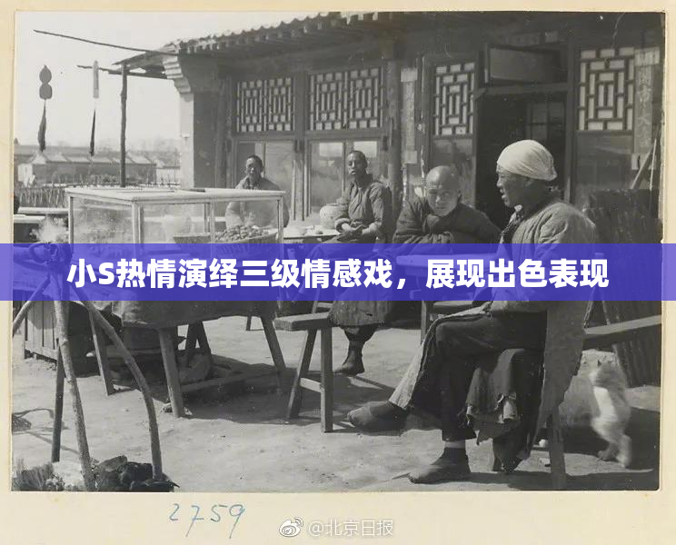 小S热情演绎三级情感戏，展现出色表现