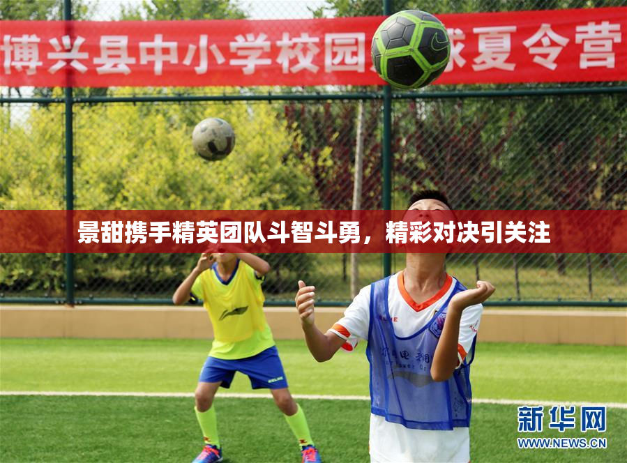 景甜携手精英团队斗智斗勇，精彩对决引关注