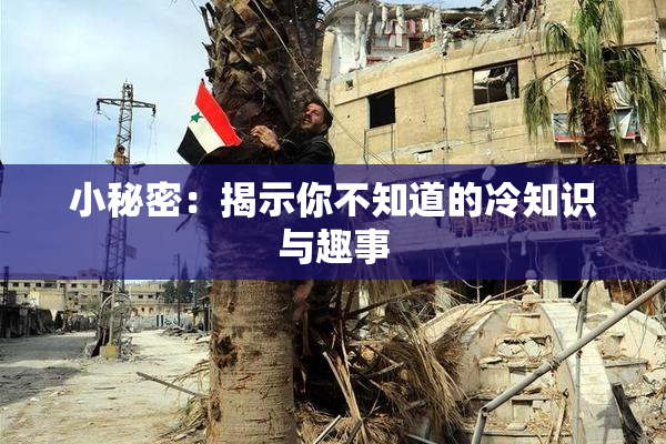 小秘密：揭示你不知道的冷知识与趣事